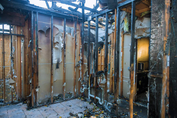 Professional Smoke Damage Removal technician working in Kenwood Estates, FL
